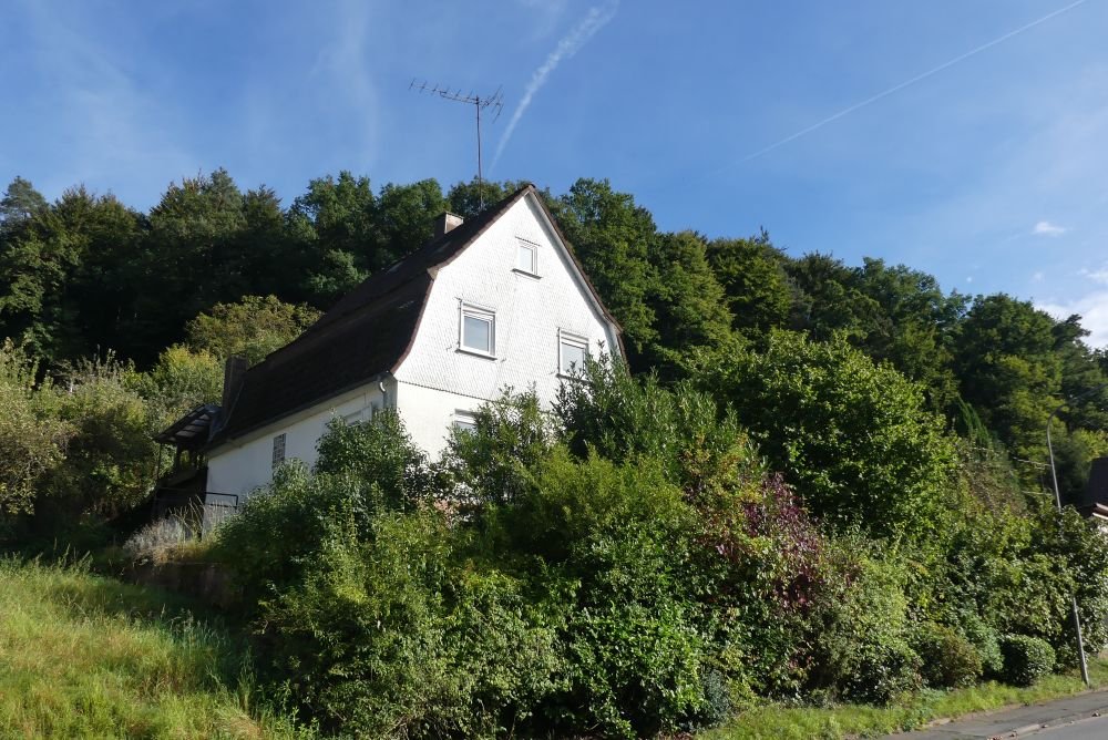 Wohnhaus mit Nebengebäude auf einem großen Grundstück in Erbach-Schönnen